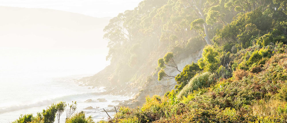 Bruny-Island Gallery 1