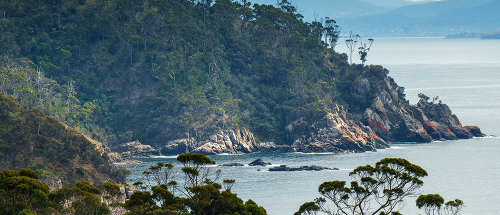 Bruny-Island Gallery 6